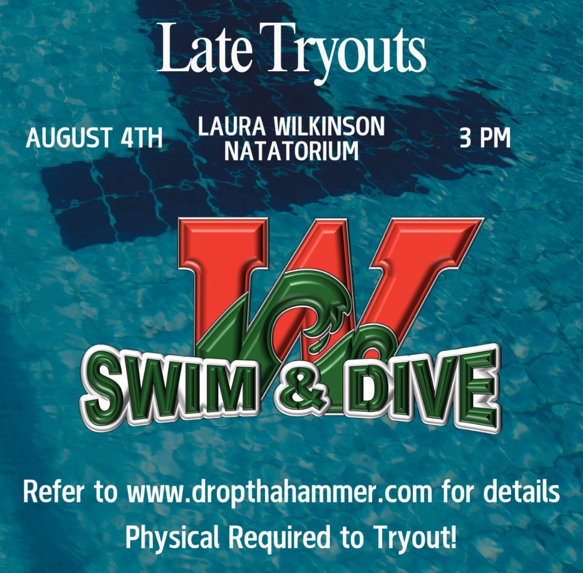 HIGHLANDER SWIM & DIVE (@highlander_h20) on Twitter photo 