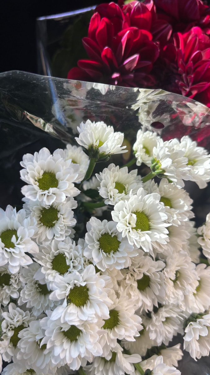 i bought some pretty flowers