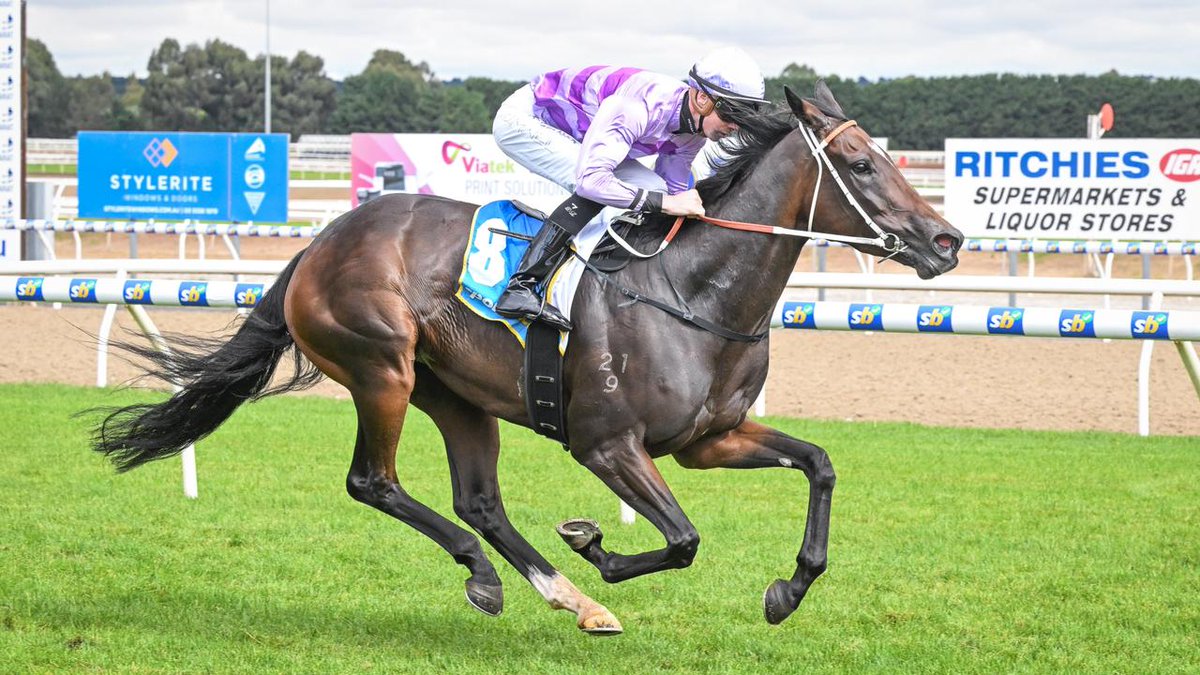 Giddy Up With Gareth Hall (@sengiddyup) on Twitter photo LISTEN | Michael Hawkes <a href="/HawkesRacing/">Hawkes Racing</a> joined <a href="/PfitznerMiles/">Miles Pfitzner</a> on stable mail to preview some nice chances this weekend.
cms.megaphone.fm/channel/NTETP9… LISTEN | Michael Hawkes <a href="/HawkesRacing/">Hawkes Racing</a> joined <a href="/PfitznerMiles/">Miles Pfitzner</a> on stable mail to preview some nice chances this weekend.
cms.megaphone.fm/channel/NTETP9…