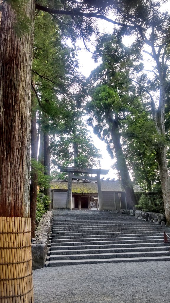 kei_Sun105's tweet photo. 今日は皇大神宮 内宮へ行ってきました✨
蝉の鳴き声が忙しなかったけど、早朝ということもあってか暑さも感じずに参拝できました。
いつも立ち寄る池の鯉は、餌をくれと言わんばかりに近寄ってきて可愛かった～😄
#伊勢神宮内宮 https://t.co/xouRP4fm0Y