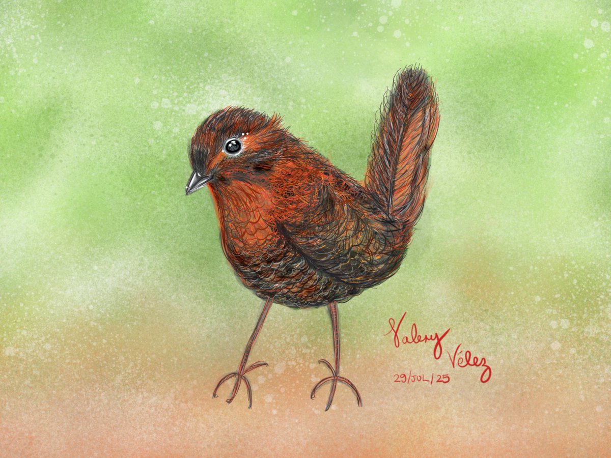 Amo la fotografía, pero también disfruto dibujar ☺️