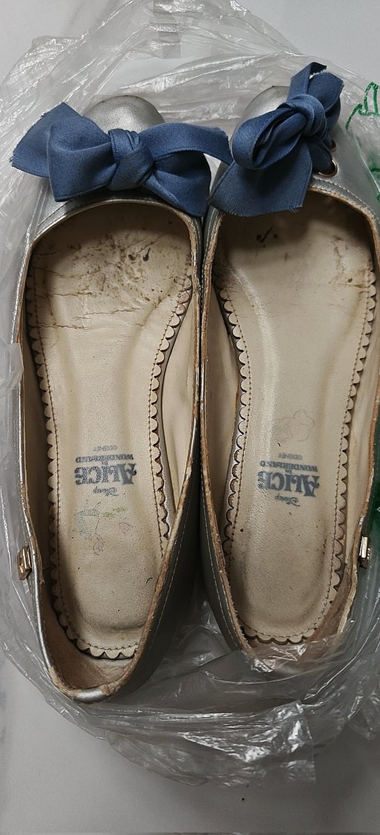 有脚印和脚泥的公主鞋，有人想要吗，找个重度闻鞋爱好者