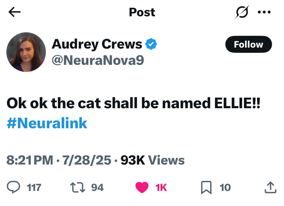 BigCat ⚡️ tweet media