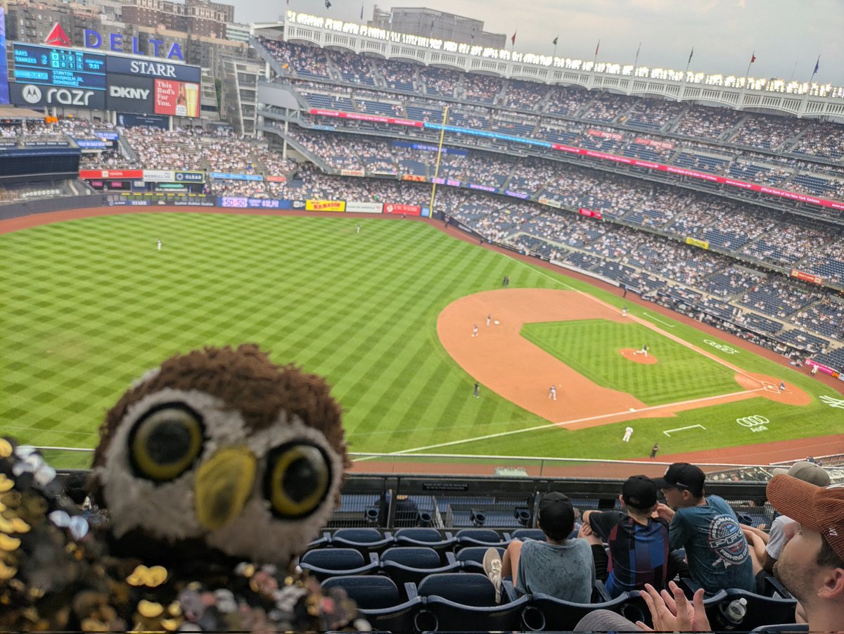 GO  RAYS!!! ⚾ <a href="/RaysBaseball/">Tampa Bay Rays</a> <a href="/Yankees/">New York Yankees</a> <a href="/MLB/">MLB</a>