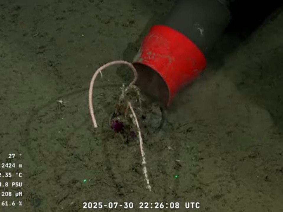 Los investigadores del CONICET llevan a todo el mundo las imágenes del lecho submarino de nuestra plataforma continental. La investigación científica es un aporte a nuestra soberanía. Un ejemplo que demuestra la necesidad de cumplir la Ley de Financiamiento de la Ciencia y la Ley