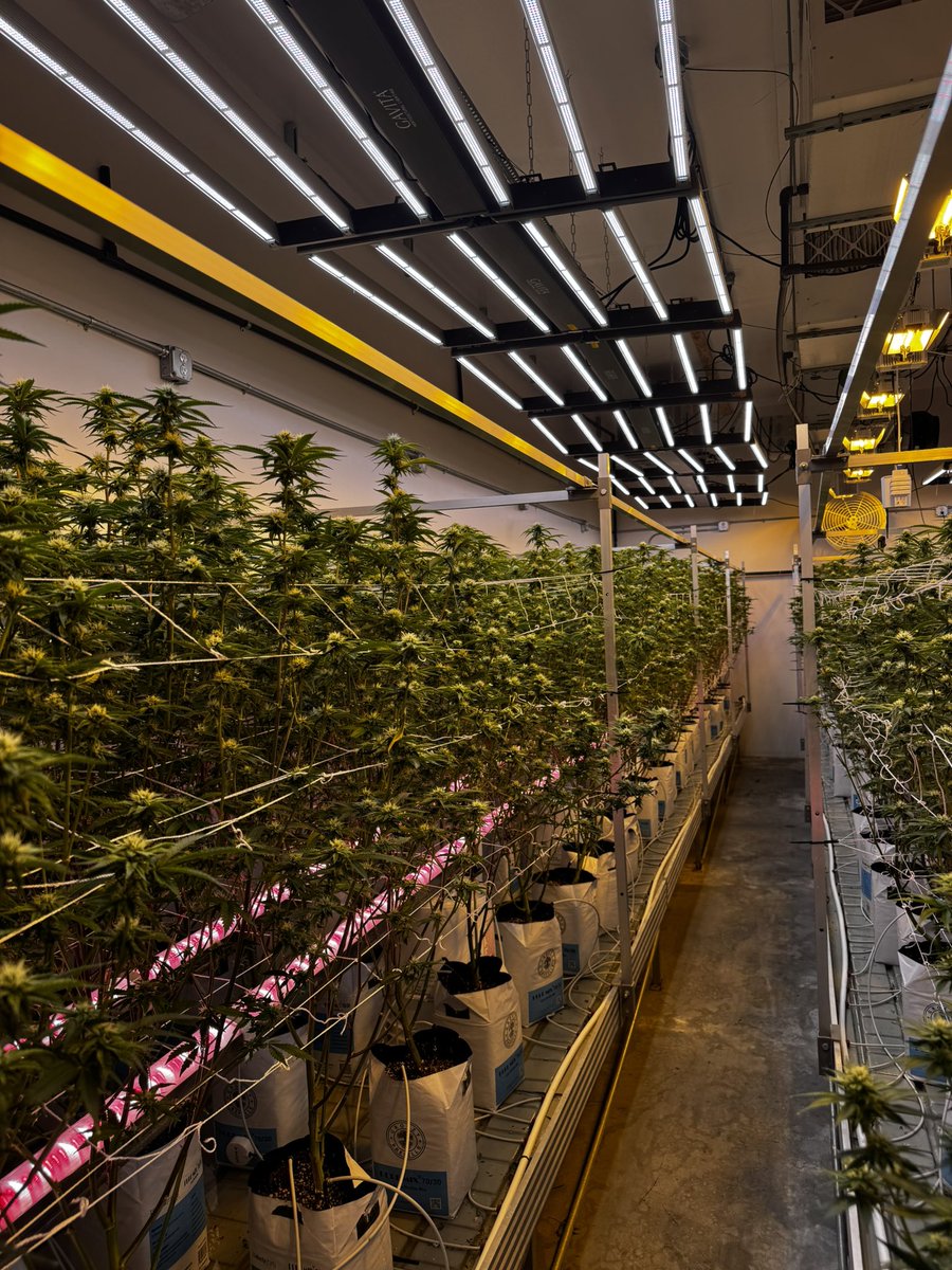 Our candy factory never stops.