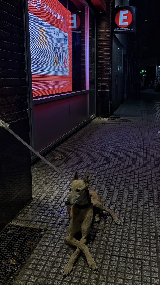lulit____'s tweet photo. como vas a esperar con esa clase https://t.co/plOIylgCIq