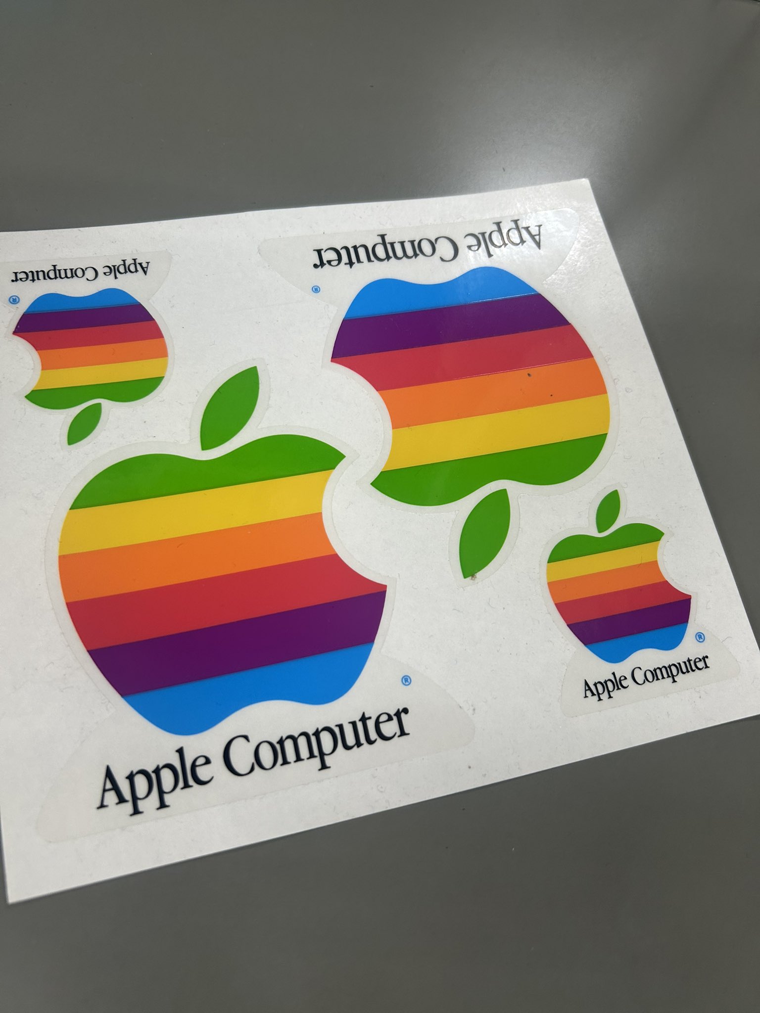 【ちこまる】 ちこまるオフィシャルストア - トップス