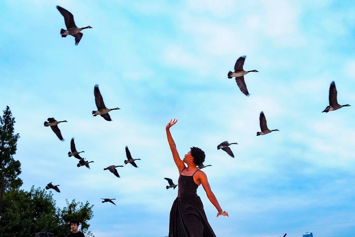 You can’t plan moments like this—but you can set the stage for them to unfold. And that's exactly what we do. Always an honor to be a part of the magic at @BatteryDance 🕊️💫 #crossfireproav #eventproduction #nycevents