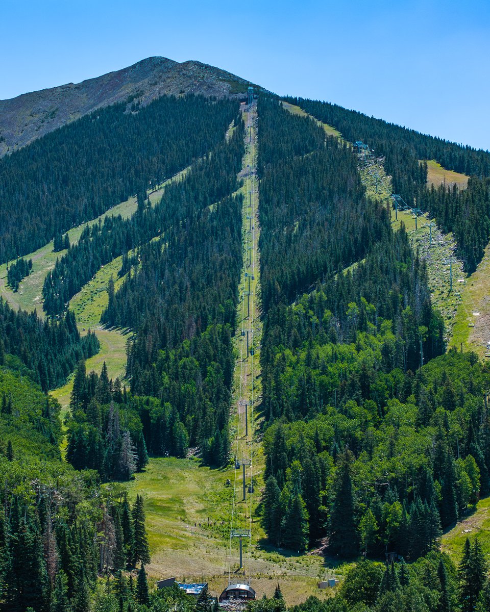 Scenic Gondola Rides are your front-row seat to summer in the high country - send this to someone you'd like to take these views in with🚡

Learn more and get your tickets with the link in bio.