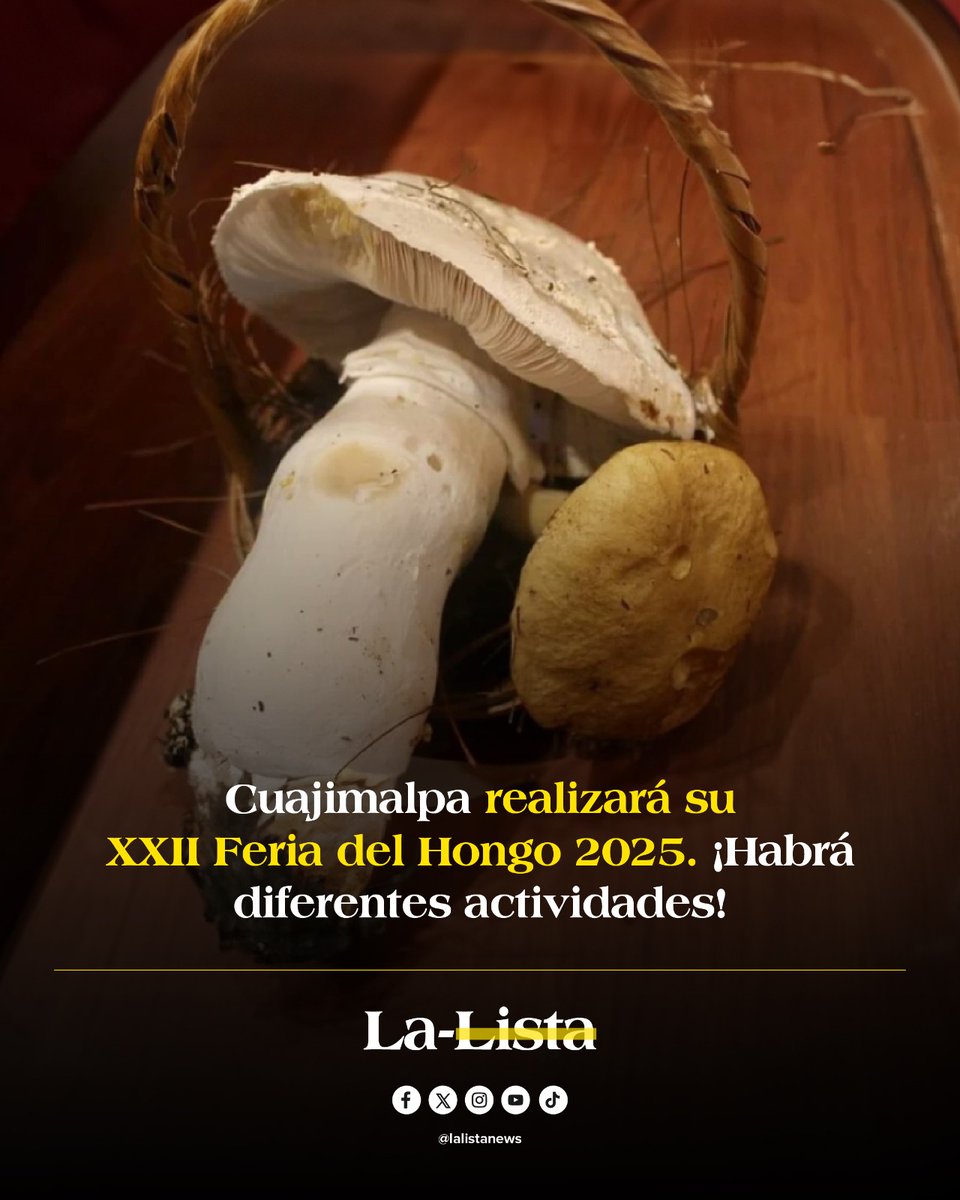 😋 ¡La Feria del Hongo 2025 está lista para celebrar su XXII edición en Cuajimalpa!

Te decimos lo que debes de saber sobre este evento que año tras año reúne a las personas para disfrutar de la riqueza natural, gastronómica y cultural de la región. 👇

📌 la-lista.com/entretenimient…