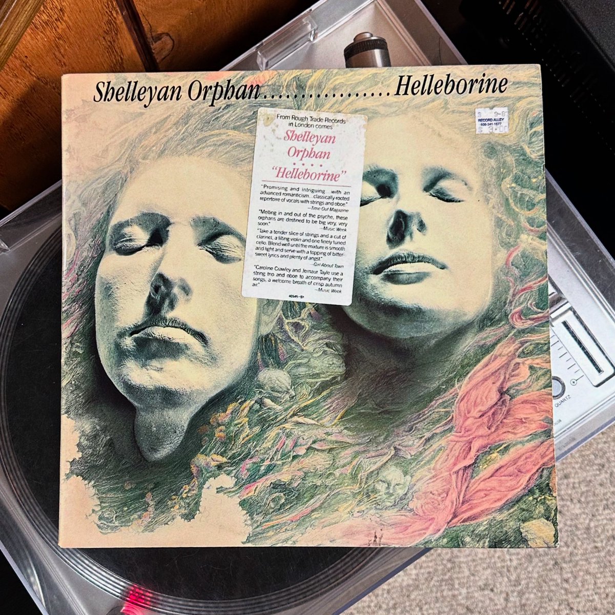 This group was on another level with their chamber pop perfection.

Shelleyan Orphan’s “Helleborine.”