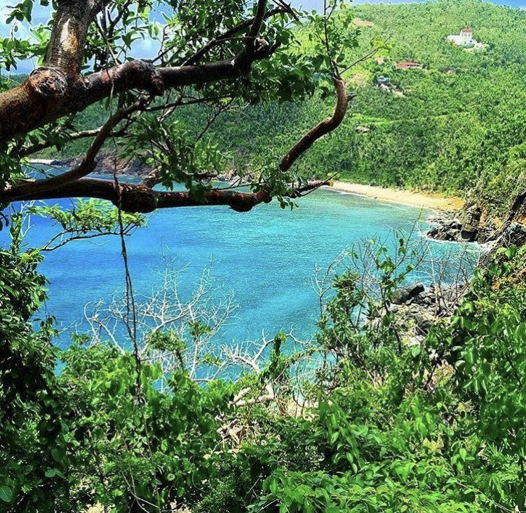 Discover the breathtaking beauty of our British Virgin Islands on a hiking adventure! From rugged paths to lush trails to stunning coastal views, each step reveals more about our paradise ✨❤️🇻🇬 #britishvirginislands #BVI #Travel #Paradise IG 📷 exploremyworldbvi
