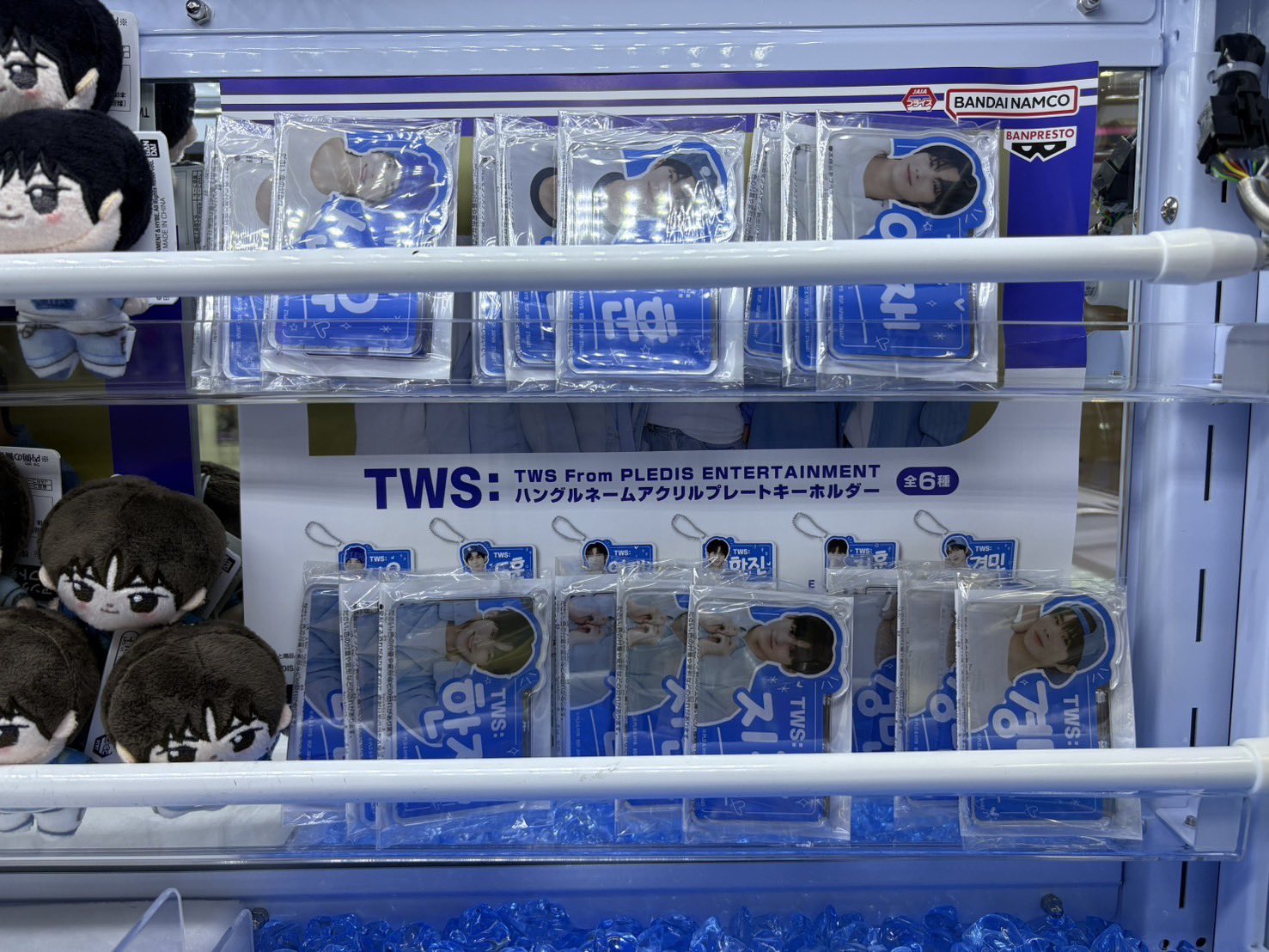 TWS ほわぬい 全6種セット TWS From PLEDIS ENTERTAINMENT ほわ