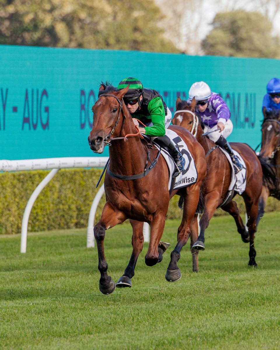 Giddy Up With Gareth Hall (@sengiddyup) on Twitter photo LISTEN | <a href="/BBakerRacing/">Bjorn Baker Racing</a> joined <a href="/PfitznerMiles/">Miles Pfitzner</a> during stable mail to give an update on some of his stars ahead of the spring before talking about his chances this weekend.
cms.megaphone.fm/channel/NTETP9… LISTEN | <a href="/BBakerRacing/">Bjorn Baker Racing</a> joined <a href="/PfitznerMiles/">Miles Pfitzner</a> during stable mail to give an update on some of his stars ahead of the spring before talking about his chances this weekend.
cms.megaphone.fm/channel/NTETP9…