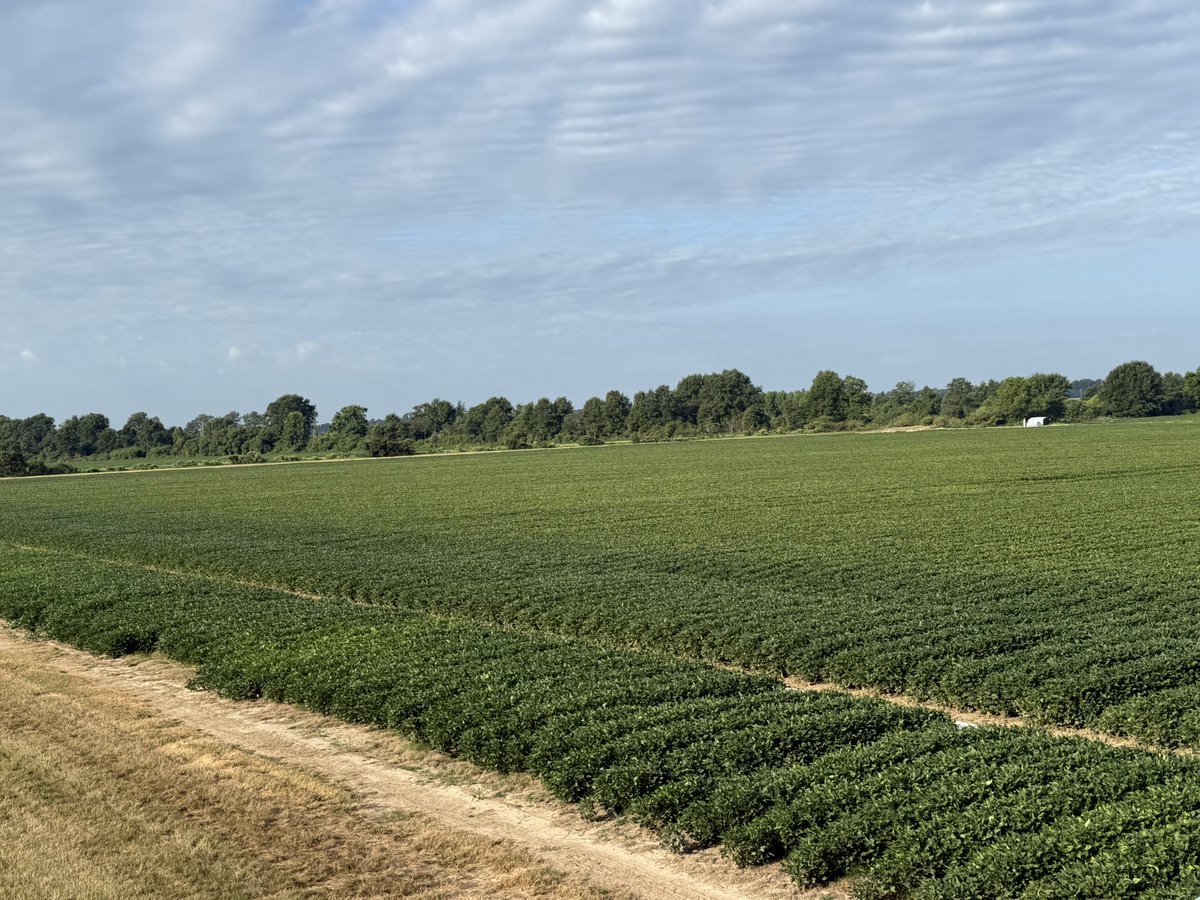 Jay B Coker tweet media