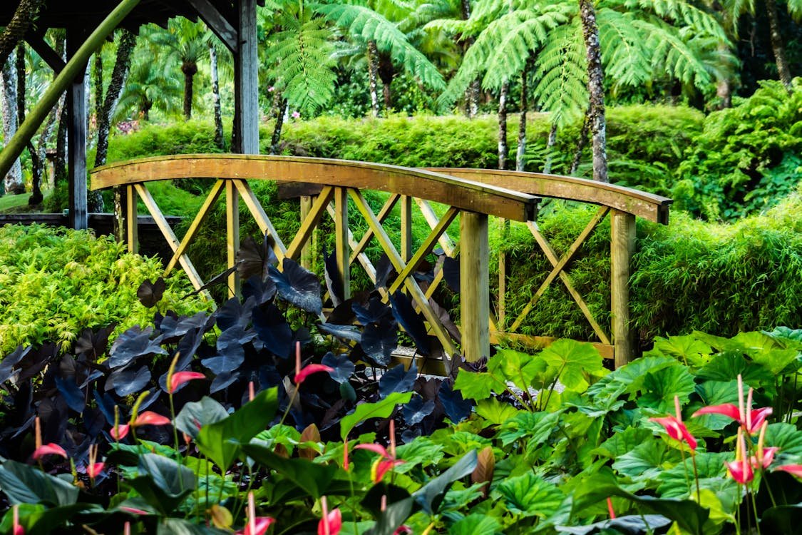 BarrettGardens's tweet image. Whether you're walking, planting, or pausing to breathe,
your connection to the earth starts from the ground up.
Let the garden ground you. 🌱👣
#SoleOfTheGarden #GroundedInNature #BarrettGardensAndMore #MindfulGardening #BarefootInTheGarden #GardenSoulAndSole