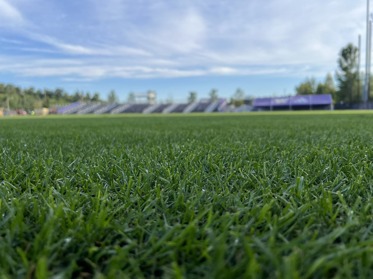 Starting to look like a soccer field