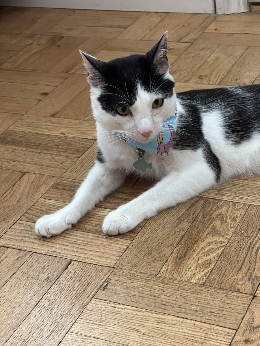 Danny Deraney tweet media