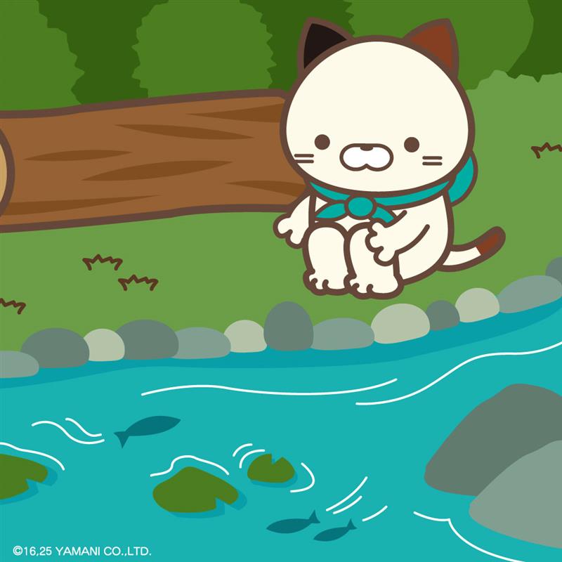 旅の途中に川に辿り着いたミケムラさん🐱
魚がすいすい泳いでいて気持ちよさそう🐟✨✨

#ミケムラさんといっしょ　#旅の途中