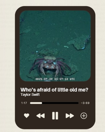 🐡AYUDA🐡
No nos decidimos entre "i hate it here", "right where you left me" y "who's afraid of little old me" 🫠 bichito que muesta conicet canción que se desbloquea en nuestro cerebro
