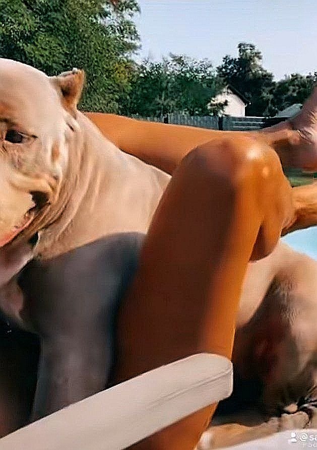knottin9na's tweet photo. It's all fun and kinky in my inbox https://t.co/kLV7gePKRh 🥵💦🐾

#Beastiality #zoophilia #doggirl #k9girl #bestwoof #animalsex #dogknot #zoosex #zoophile #zooporn

DROPBOX ON SALE⚠️⚠️⚠️ https://t.co/RV4blkMQfB