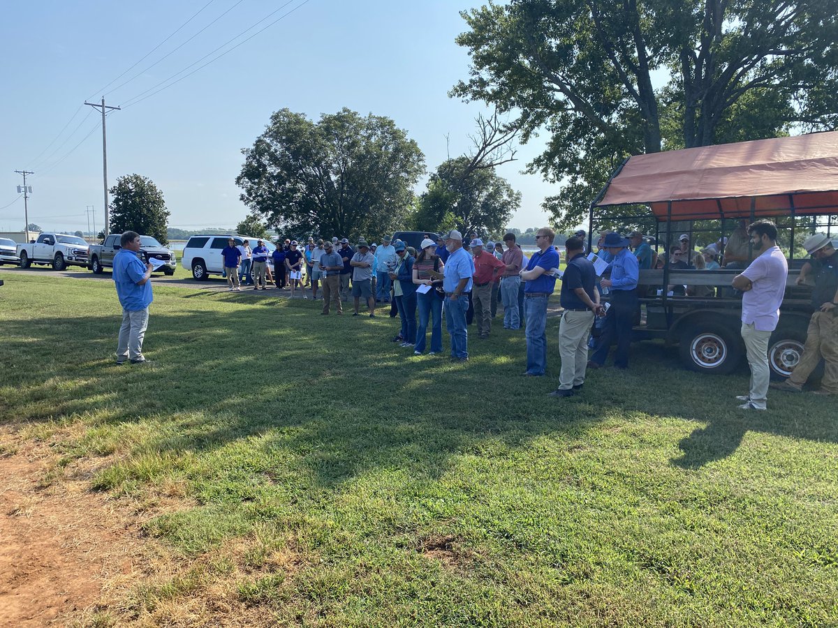 Eabfranc's tweet photo. Great turn out in our field day today at the TV station in Belle Mina, AL. Several Extension Specialists presented their research results and discussed crop management practices and solutions with stakeholders. @ACESedu @AuburnCSES @AuburnAg https://t.co/OKZGI9ir16