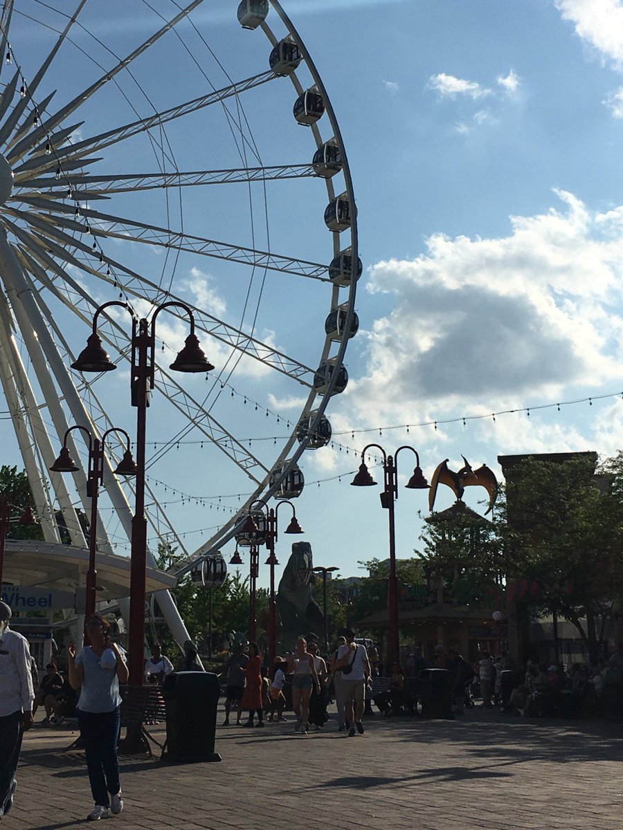 𖦹 ⋆ tweet media