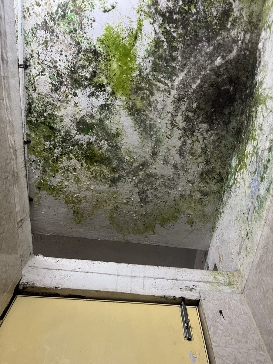 cant take this shit anymore
- dead lizards in room
- monitor lizards and dogs come inside room if door left open
- countless mosquitoes 
- dead hot room + humidity 
- cooler, but cant use. no space in room

couldn’t get an hours sleep tonight

and here is a photo of bathroom btw