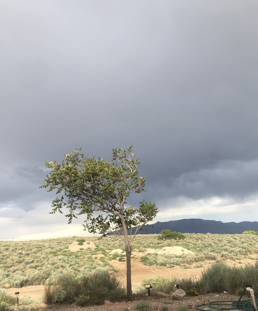 New Mexico stormy skies.