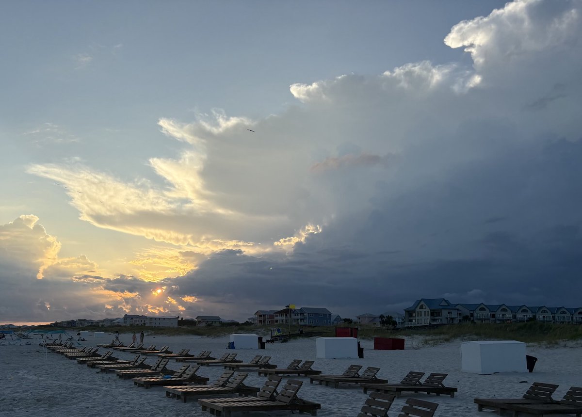 Tom Hall tweet media