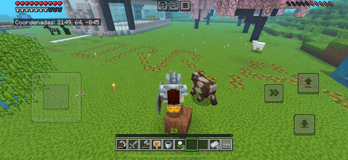 Engentada's tweet photo. Segundo dia jugando Minecraft: https://t.co/aONJsWPXen