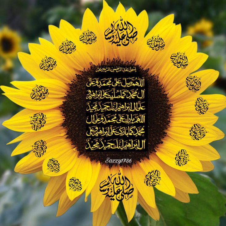 Adeel Arshad (@adeel_arshad170) on Twitter photo 