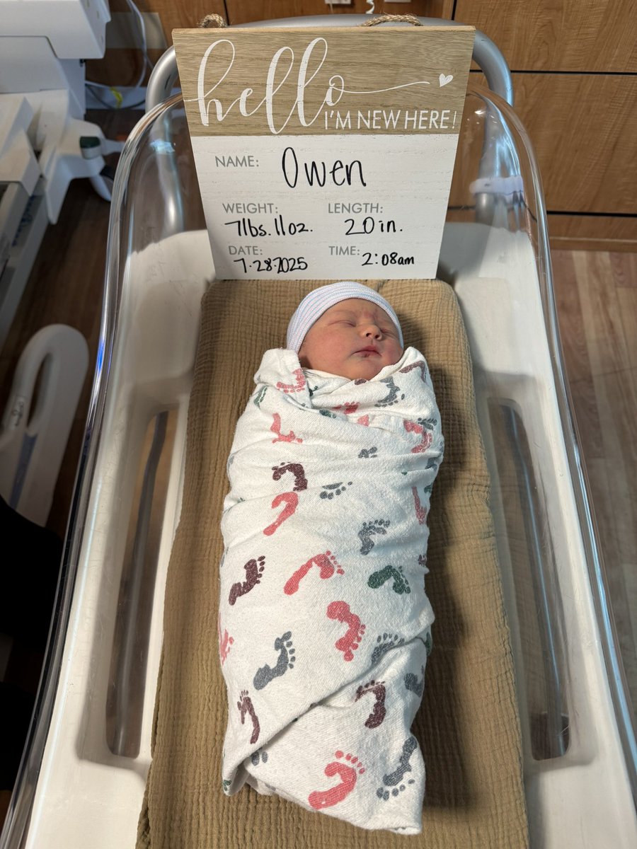 Sean Tierney tweet media