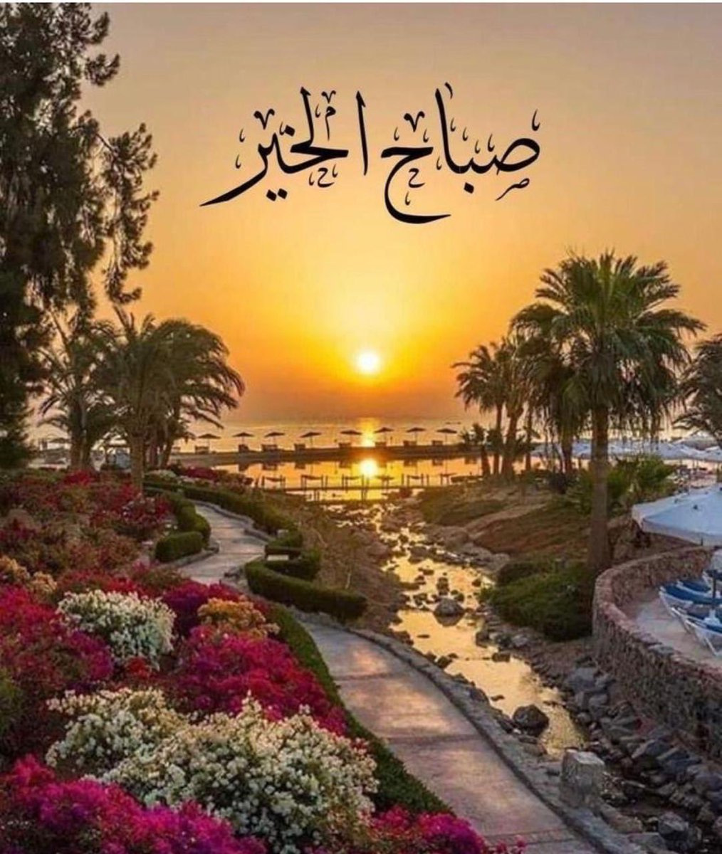 ff8000000's tweet image. 