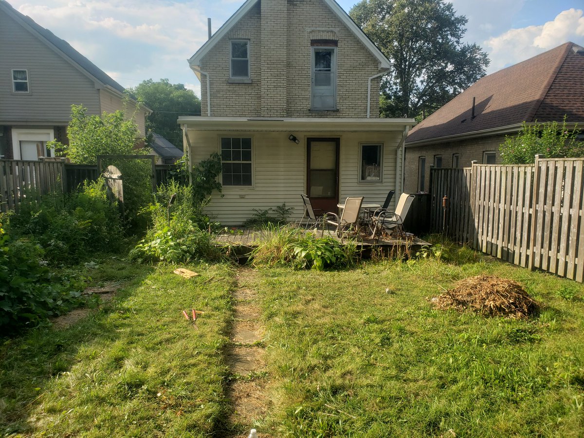 A little before and after #yardtransformation #grasscutting