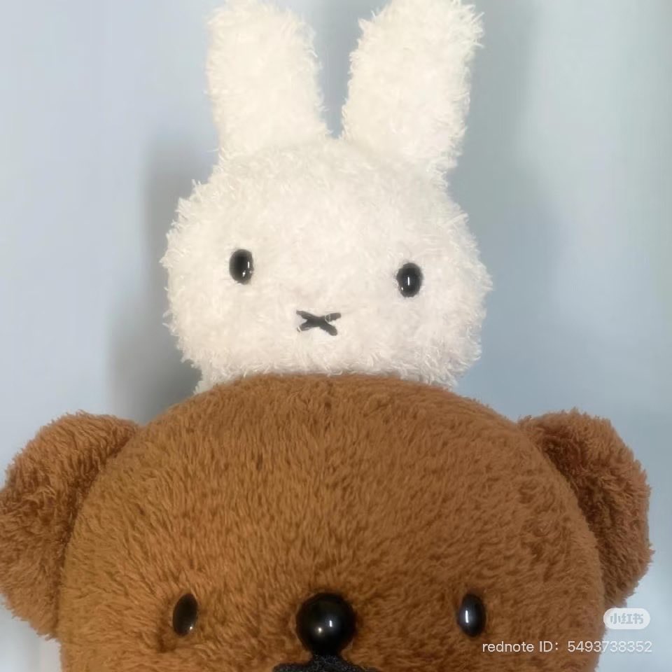 𐙚⋆°｡⋆♡

#YEJU #예주 #JOONIE #주니 
#miffy #nijntje