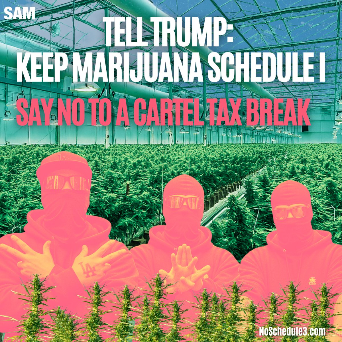 President Trump: Cartels are already exploiting America’s marijuana trade.
Rescheduling gives them a tax break — and a green light.
Keep marijuana Schedule I.
Stop the chaos. Stop the Cartel Tax Break.
 
✍️ Sign the petition: noschedule3.com
#NoSchedule3 #NoCartelTaxBreak