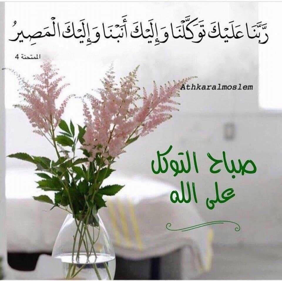 ياللي .. معانا