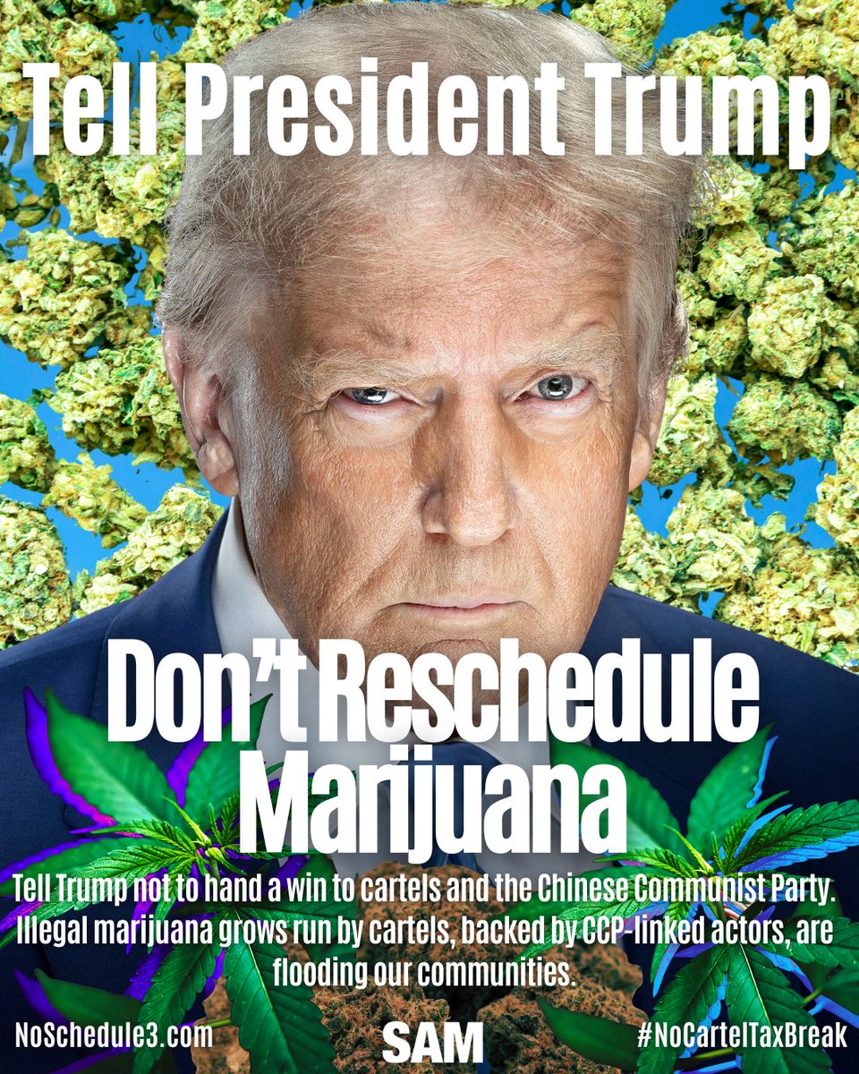 Georgians for Responsible Marijuana Policy (@gamjpolicy) on Twitter photo President Trump (<a href="/POTUS/">President Donald J. Trump</a>): Don’t hand cartels and the CCP a win.
Illegal marijuana grows backed by foreign actors are flooding America.
Rescheduling rewards them with tax breaks.
Keep marijuana Schedule I.
✍️Sign the petition: noschedule3.com
#NoSchedule3 President Trump (<a href="/POTUS/">President Donald J. Trump</a>): Don’t hand cartels and the CCP a win.
Illegal marijuana grows backed by foreign actors are flooding America.
Rescheduling rewards them with tax breaks.
Keep marijuana Schedule I.
✍️Sign the petition: noschedule3.com
#NoSchedule3
