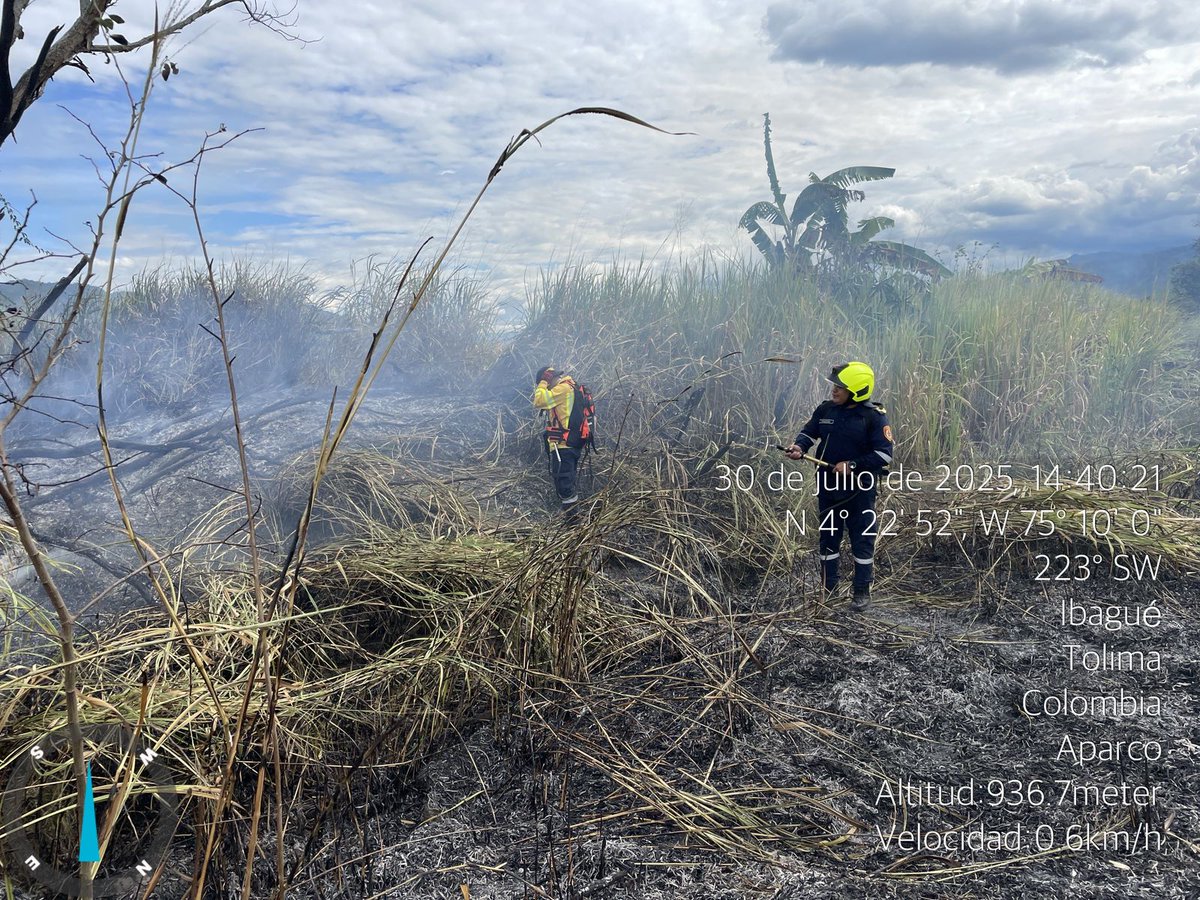 🚒 Emergencia controlada en Granja de Pollos Gar "Monserrate" (Vía a Rovira).

🔥 Incendio forestal afectó 2 hectáreas de vegetación.
💧 Se usaron 1.000 L de agua y herramientas manuales.
👨‍🚒 Móvil 03 y unidades de apoyo evitaron su propagación.

📞 119 / 300 973 7272