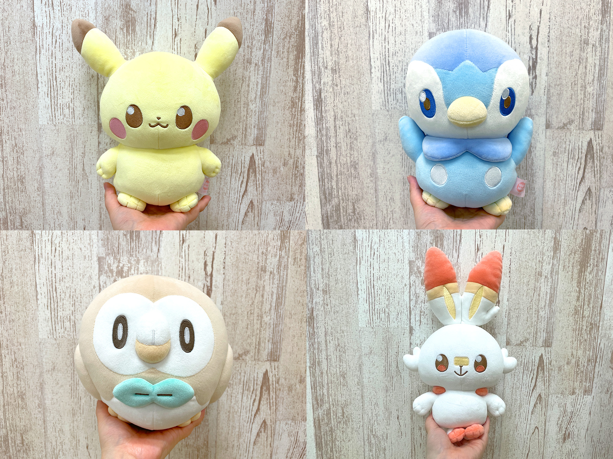 もちもちさん専用　マリィ ポケモンだいすきクラブ編集部【公式】 on X: 