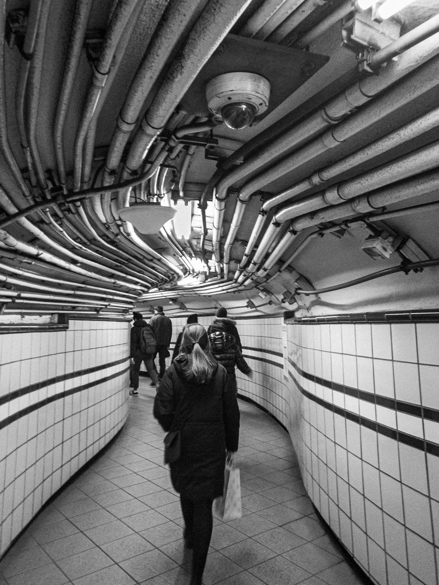 The Black & White World ⟁ tweet media