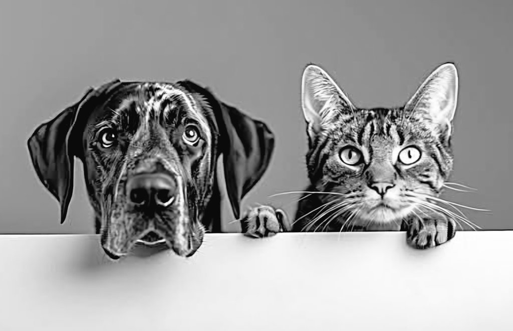 Sin excusas, cafecito o nos volvemos a dormir...