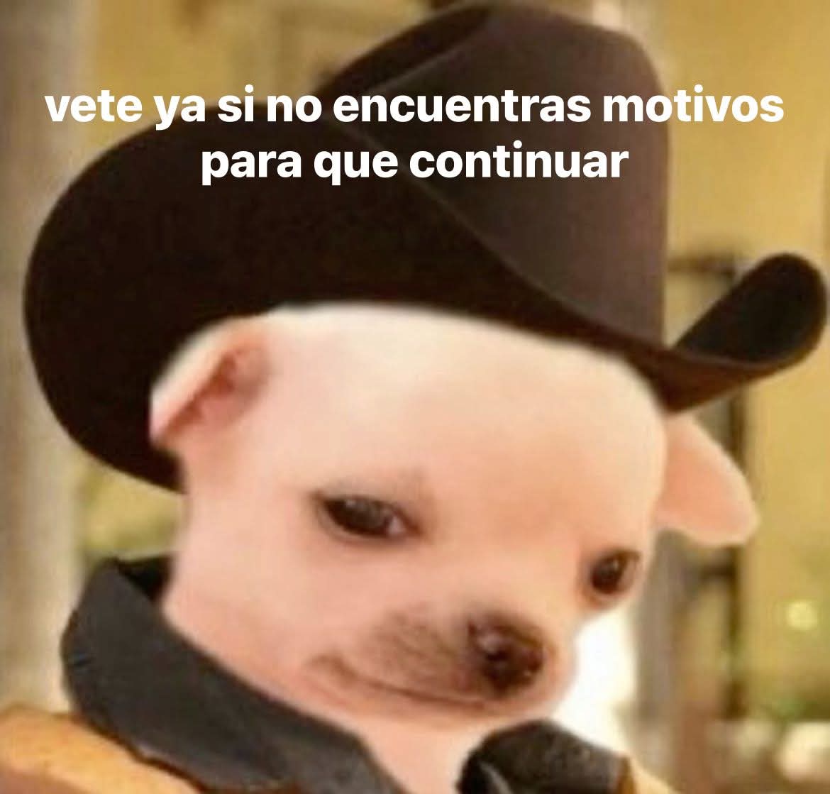 De camino al rancho Led Zeppelin, yo en corto entrando a mi pueblo 🎶🎶🎶🎶