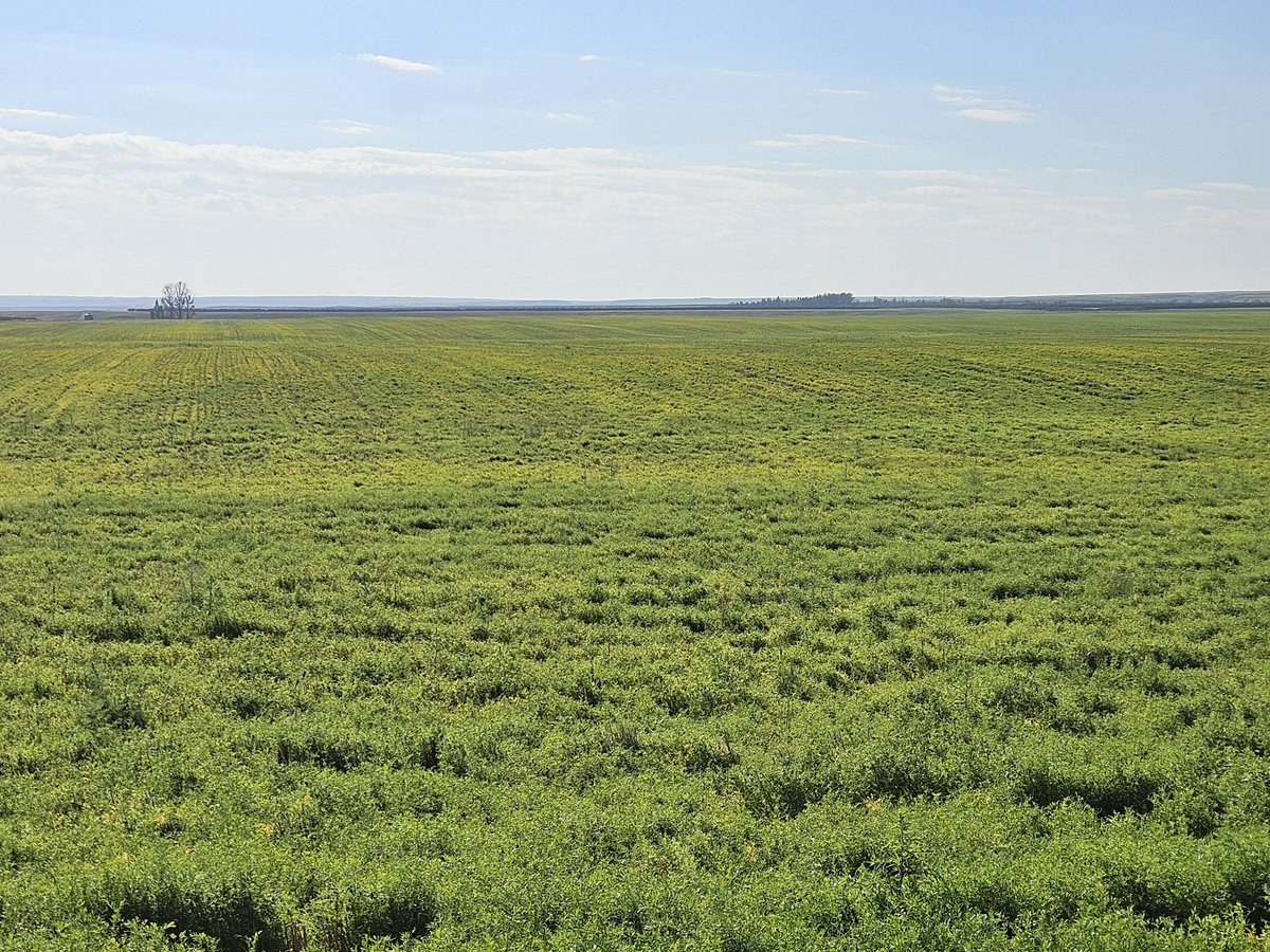 Jerrod Peters tweet media