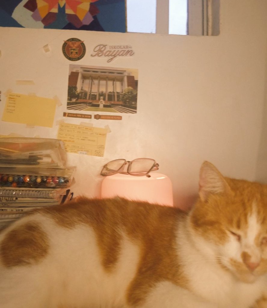 ✨ ⋮ #studytwt #studytwtph .ᐟ ˙⋆✮
⋆˙⟡ —  30 July ‘25
 ୨ৎ study log 
🕰 5H :30 :17⸝⸝

😽Sige uno ikaw na mag aral jan ipasa mo'ko ha