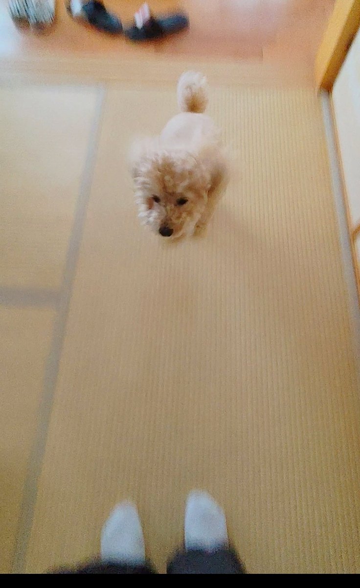 ただいまー😂
#夜勤明け