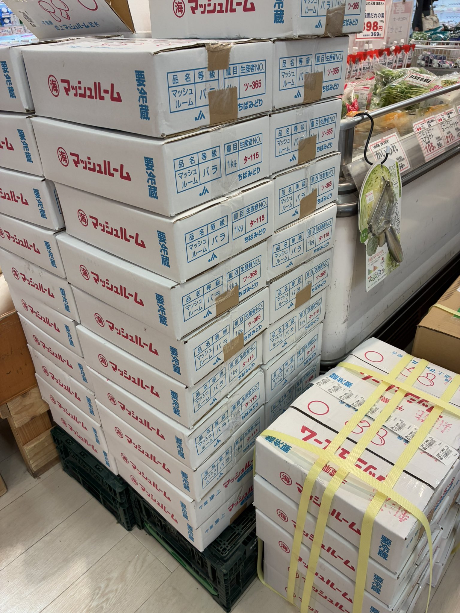 キャンディーズマッシュルーム 本体のみ箱あり 3.5g ワンアップマジックマッシュルームチョコレート空箱 - 中国