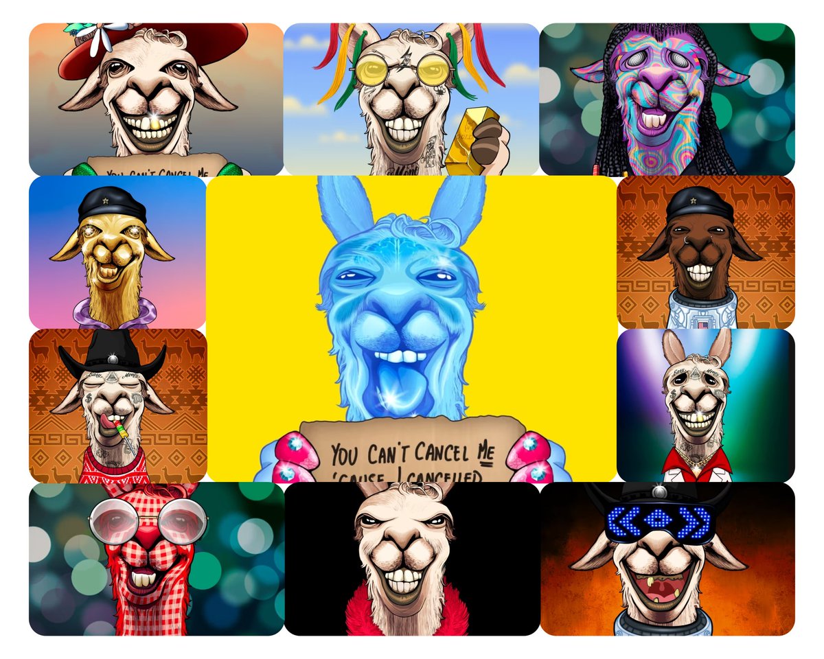 KGS (@kgs_81) on Twitter photo I staked all my <a href="/lallamapic/">La Llama Politically Incorrect Club</a> for a full year because of the trust and loyalty I have to the project and its leaders in <a href="/liveartsaj/">Liveartsaj ◨ ◨🦙</a> <a href="/arturogonz/">artgon.eth 🛸🦙</a> and <a href="/Lyler_Lurden/">Lyler Lurden 🦙🦙🦙🗽🛟💎</a>. These mfers work hard for us and this was one way to show appreciation I staked all my <a href="/lallamapic/">La Llama Politically Incorrect Club</a> for a full year because of the trust and loyalty I have to the project and its leaders in <a href="/liveartsaj/">Liveartsaj ◨ ◨🦙</a> <a href="/arturogonz/">artgon.eth 🛸🦙</a> and <a href="/Lyler_Lurden/">Lyler Lurden 🦙🦙🦙🗽🛟💎</a>. These mfers work hard for us and this was one way to show appreciation